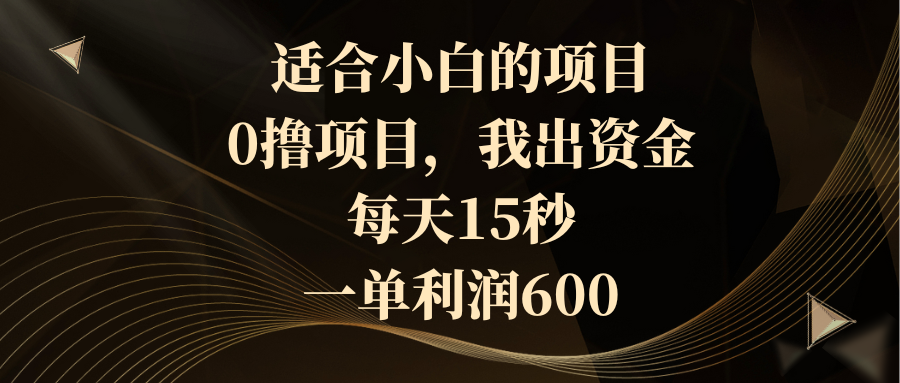 （8571期）适合小白的项目，0撸项目，我出资金，每天15秒，一单利润600-千城资源网