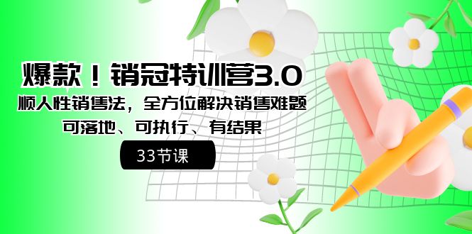 （8573期）爆款！销冠特训营3.0之顺人性销售法，全方位解决销售难题、可落地、可执…-千城资源网