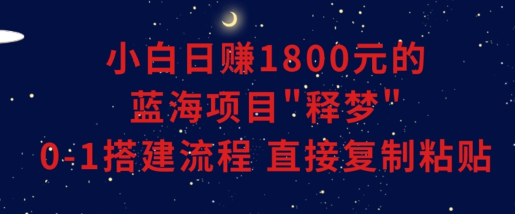 小白能日赚1800元的蓝海项目”释梦”0-1搭建流程可直接复制粘贴长期做-千城资源网