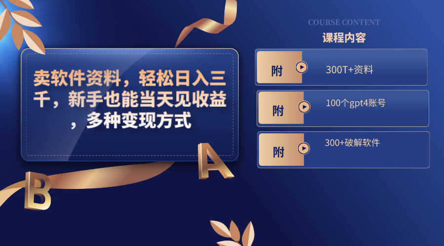（8582期）卖软件资料，轻松日入三千，新手也能当天见收益，多种变现方式，（附300…-千城资源网