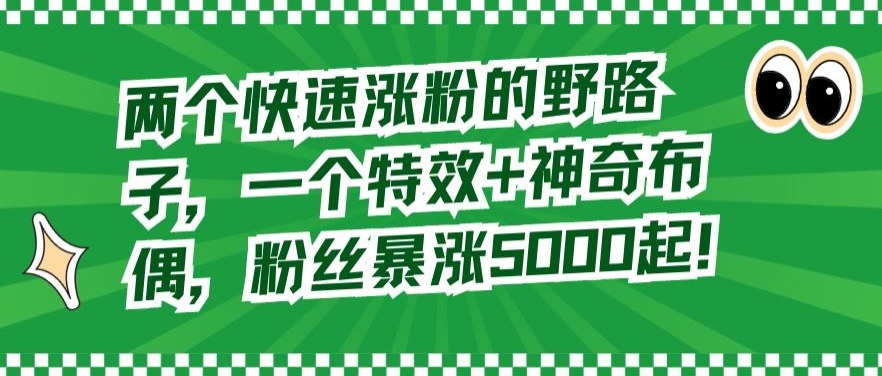 两个快速涨粉的野路子，一个特效+神奇布偶，粉丝暴涨5000起【揭秘】-千城资源网