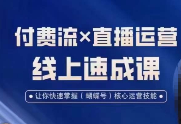 视频号付费流实操课程，付费流✖️直播运营速成课，让你快速掌握视频号核心运营技能-千城资源网