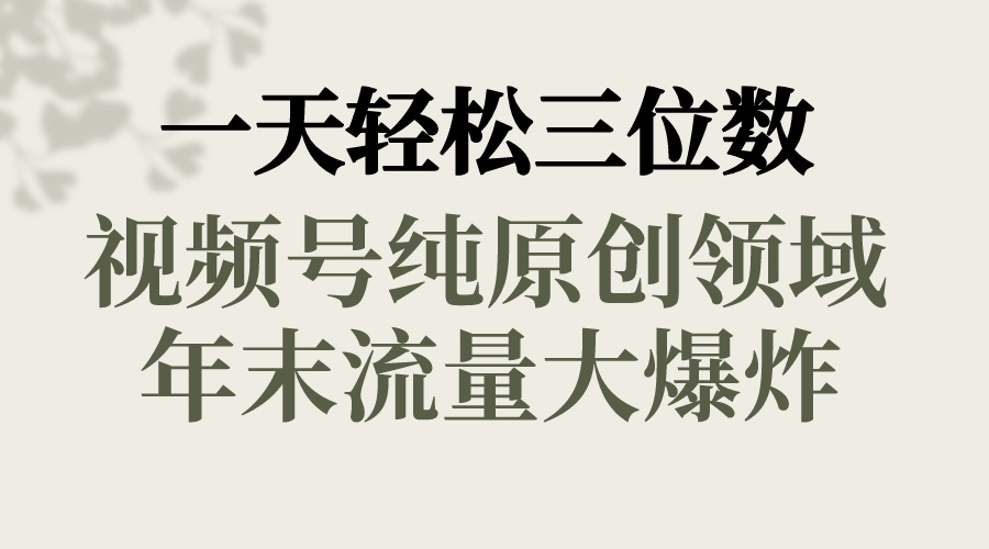 （8647期）一天轻松三位数，视频号纯原创领域，春节童子送祝福，年末流量大爆炸，-千城资源网