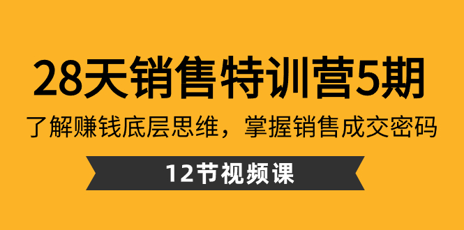 （8659期）28天·销售特训营5期：了解赚钱底层思维，掌握销售成交密码（12节课）-千城资源网