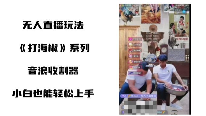 （8661期）打海椒无人直播整蛊项目，小白轻松上手撸音浪收割器（教程+工具+素材）-千城资源网
