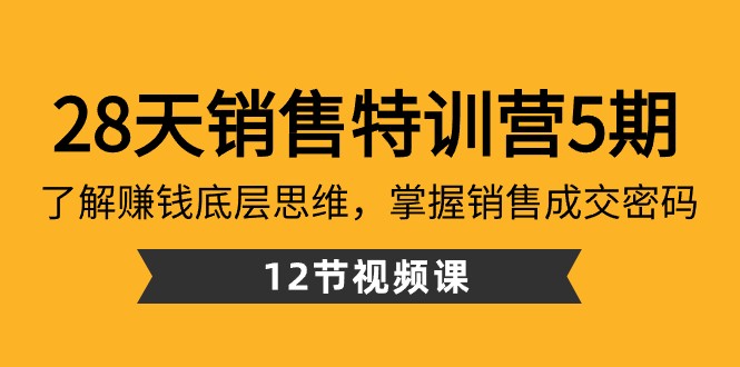 28天销售特训营5期：了解赚钱底层思维，掌握销售成交密码（12节课）-千城资源网