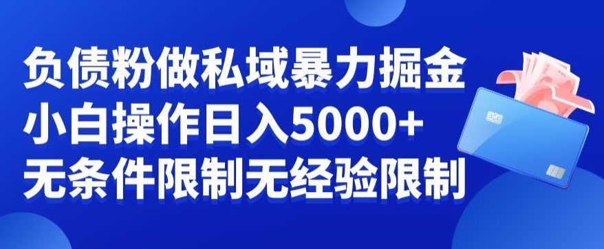 负债粉私域暴力掘金，小白操作入5000，无经验限制，无条件限制-千城资源网