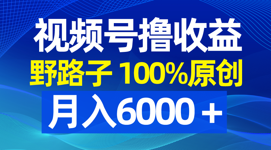 （8679期）视频号野路子撸收益，100%原创，条条爆款，月入6000＋-千城资源网