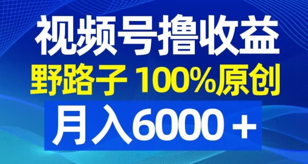 视频号野路子撸收益，100%原创，条条爆款，月入6000＋-千城资源网