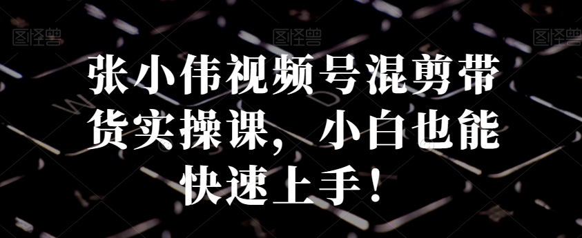 张小伟视频号混剪带货实操课，小白也能快速上手！-千城资源网