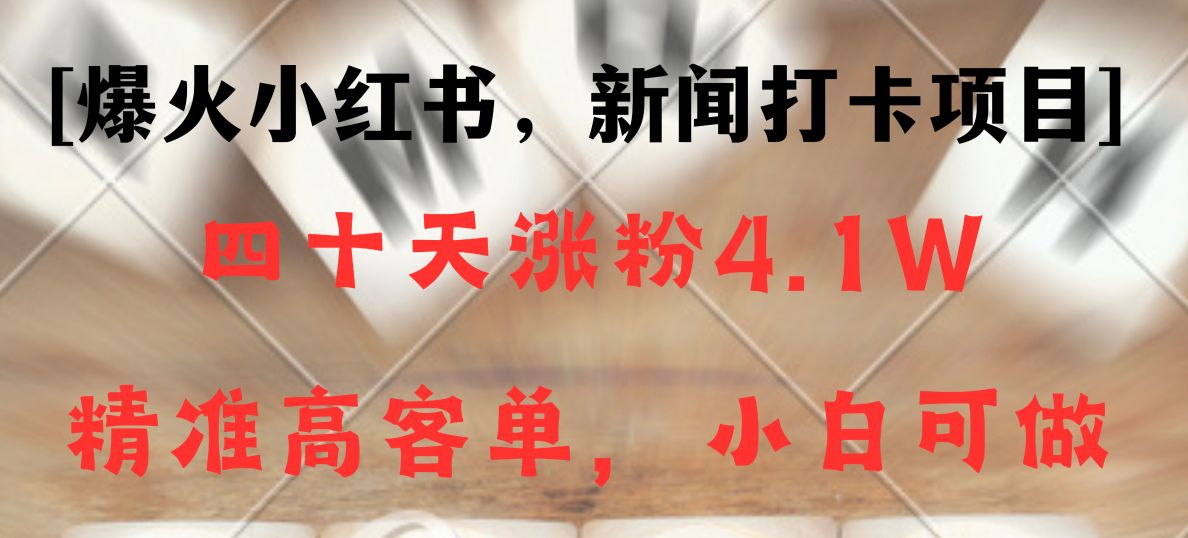 新闻打卡项目，小红书40天涨粉4.1w，高客单精准粉，变现能力超强-千城资源网