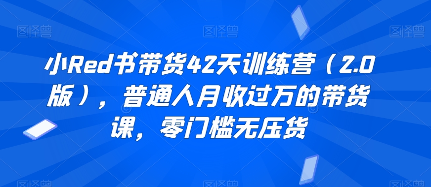 小Red书带货42天训练营（2.0版），普通人月收过万的带货课，零门槛无压货-千城资源网