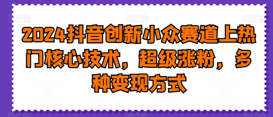 2024抖音创新小众赛道上热门核心技术，超级涨粉，多种变现方式-千城资源网