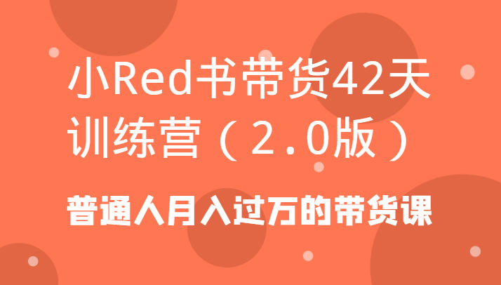 小Red书带货42天训练营（2.0版）普通人月入过万的带货课-千城资源网