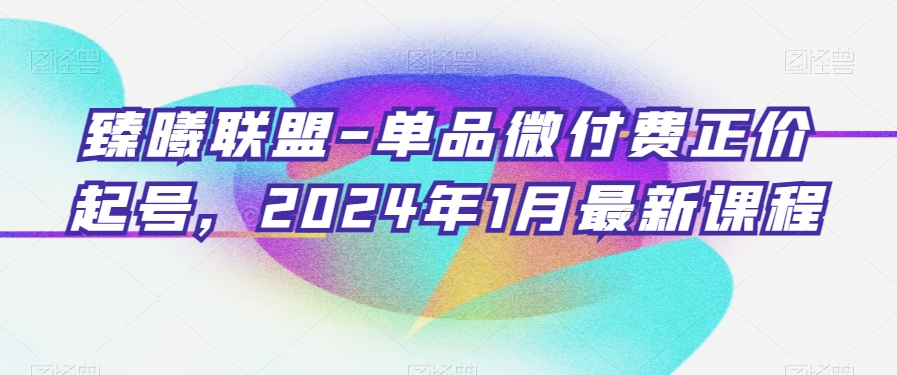臻曦联盟-单品微付费正价起号，2024年1月最新课程-千城资源网
