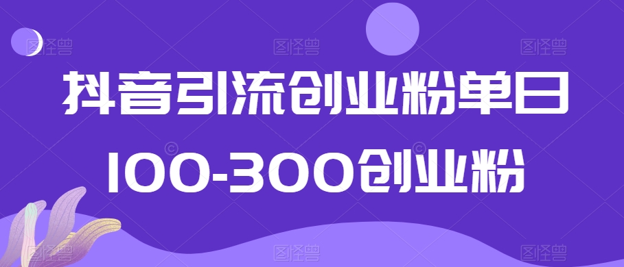 抖音引流创业粉单日100-300创业粉-千城资源网