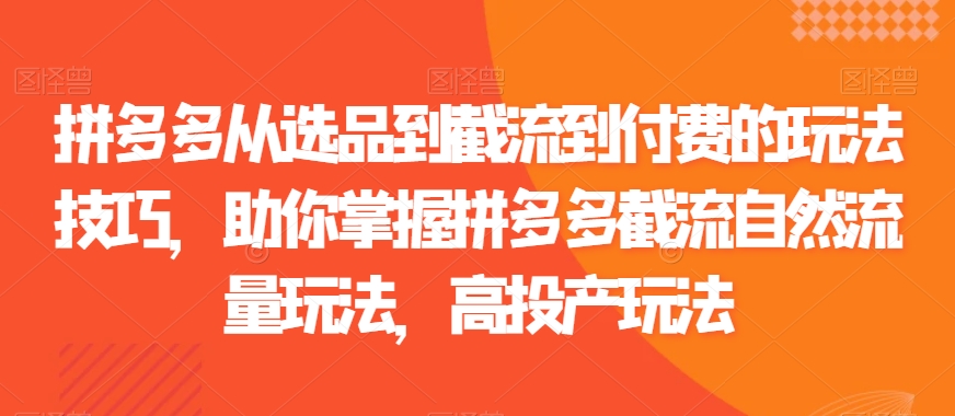 拼多多从选品到截流到付费的玩法技巧，助你掌握拼多多截流自然流量玩法，高投产玩法-千城资源网
