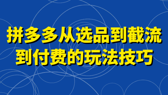 拼多多从选品到截流到付费的玩法技巧，助你掌握截流自然流量，高投产，强付费快速启动-千城资源网
