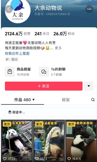 图片[28]-2024年，收集全网各个大佬最新影视解说教程——定期更新-千城资源网