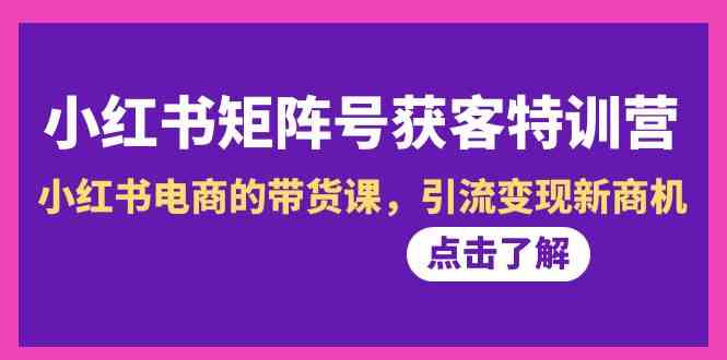 （8909期）小红书-矩阵号获客特训营-第10期，小红书电商的带货课，引流变现新商机-千城资源网