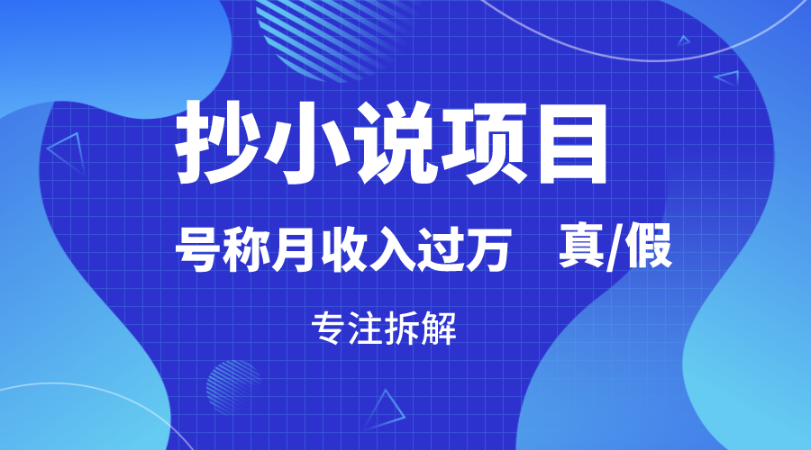抄小说项目，号称月入过万，到底是否真实，能不能做，详细拆解-千城资源网