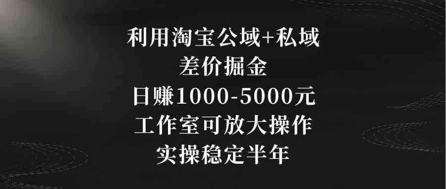 （8952期）利用淘宝公域+私域差价掘金，日赚1000-5000元，工作室可放大操作，实操…-千城资源网