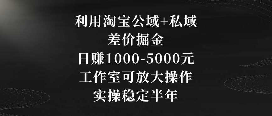 利用淘宝公域+私域差价掘金，日赚1000-5000元，工作室可放大操作，实操稳定半年【揭秘】-千城资源网