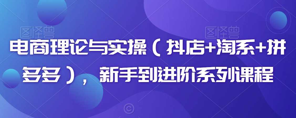 电商理论与实操（抖店+淘系+拼多多），新手到进阶系列课程-千城资源网