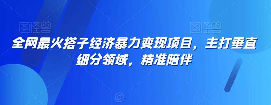 全网最火搭子经济暴力变现项目，主打垂直细分领域，精准陪伴【揭秘】-千城资源网