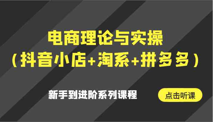 电商理论与实操（抖音小店+淘系+拼多多）新手到进阶系列课程-千城资源网