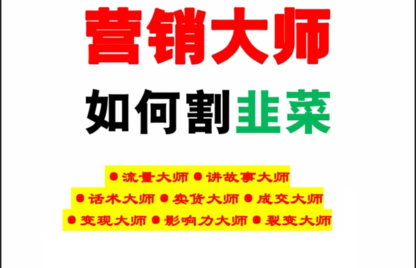 《营销大师如何割韭菜》禁止外传的大师绝学电子书-千城资源网