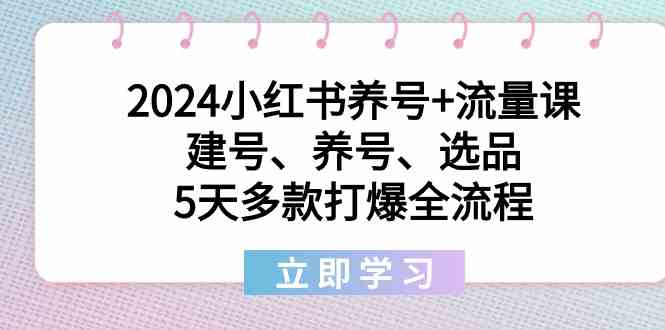 2024小红书养号+流量课：建号、养号、选品，5天多款打爆全流程-千城资源网