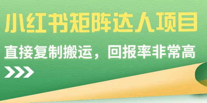 （9019期）小红书矩阵达人项目，直接复制搬运，回报率非常高-千城资源网