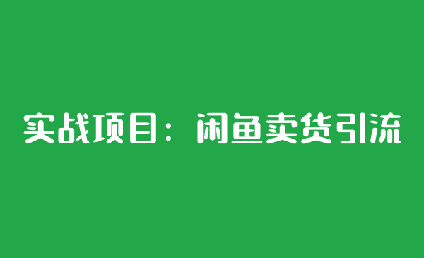 实战项目：闲鱼卖货引流-千城资源网