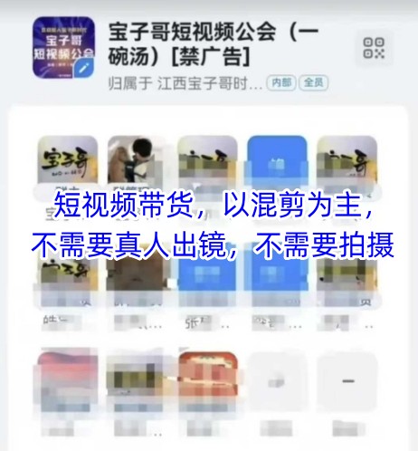 宝子哥头部团队短视频带货，以混剪为主，不需要真人出镜，不需要拍摄【更新6月】-千城资源网