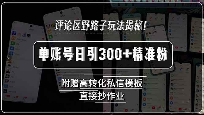 （15466期）评论区野路子玩法揭秘！单账号日引300+精准粉，附赠高转化私信模板，直…-千城资源网