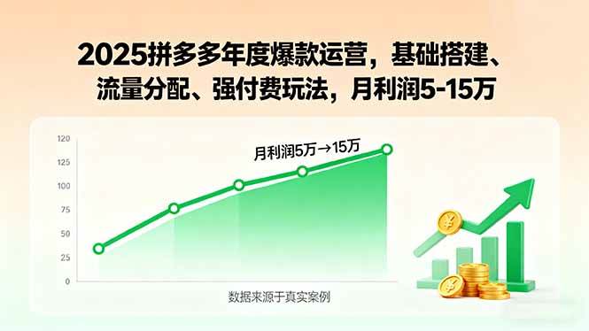 （15973期）2025拼多多年度爆款运营，基础搭建、流量分配、强付费玩法，月利润5-15万-千城资源网