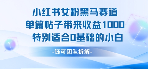 小红书女粉黑马赛道单篇帖子带来收益1k+，特别适合0基础的小白-千城资源网