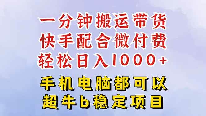 （16285期）快手黑科技一分钟搬运带货，一刀不剪过原创，微付费投流玩法，轻松日入…-千城资源网