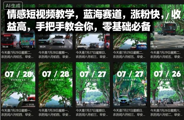 情感短视频教学，蓝海赛道，涨粉快，收益高，手把手教会你，零基础必备-千城资源网