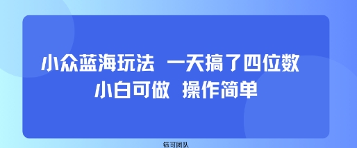 小众蓝海玩法 一天搞了四位数 小白可做 操作简单-千城资源网