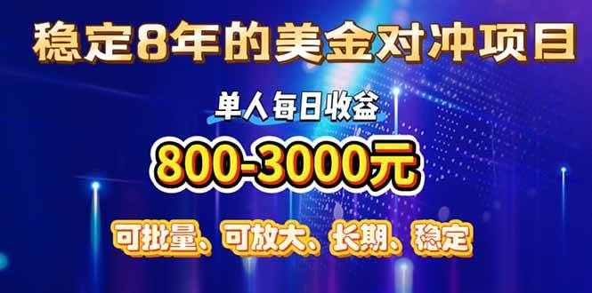 （15782期）稳定8年的美金对冲创业项目，单人每日收益800-3000，小众暴力项目-千城资源网