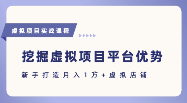 抓住虚拟项目各平台优势，新手轻松月入1W+(给出具体建议)-千城资源网