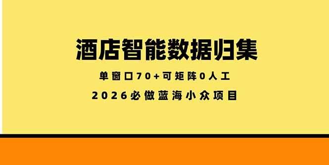 （18500期）酒店智能数据归集，小众蓝海已经稳定半年之久，单窗口70+零成本矩阵开干-千城资源网