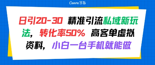 日引 20-30 精准引流私域新玩法，转化率50% 高客单虚拟资料，小白一台手机就能做-千城资源网