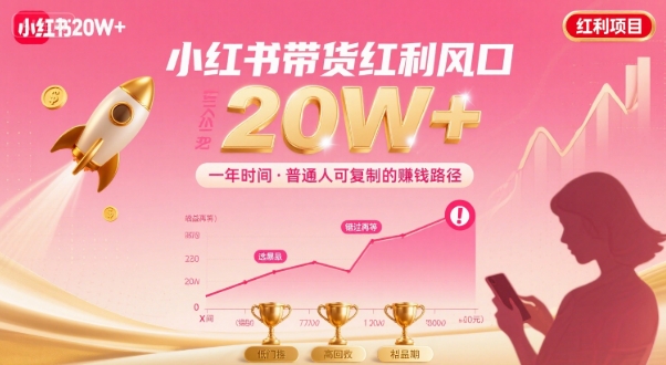 一年时间靠小红书带货项目年入20w+，最不能错的大红利项目-千城资源网