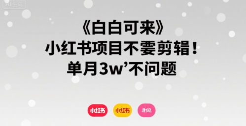 小白可来 小红书项目不需要剪辑 单月3w不是问题-千城资源网