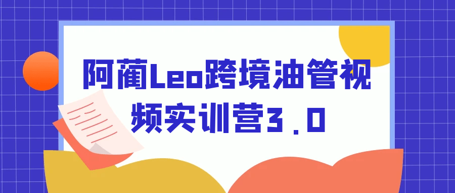 阿蔺Leo跨境油管视频实训营3.0-千城资源网