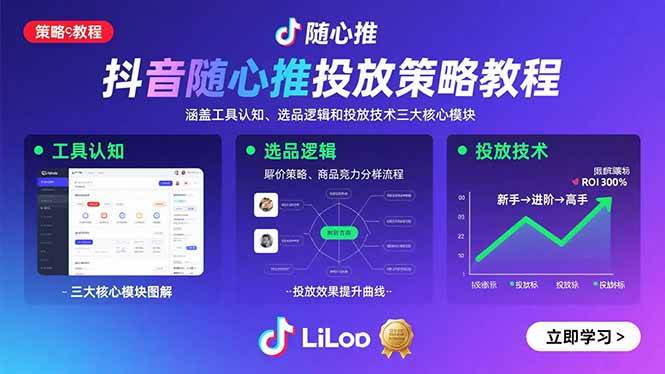 （15828期）抖音随心推投放策略教程：涵盖工具认知、选品逻辑和投放技术三大核心模块-千城资源网