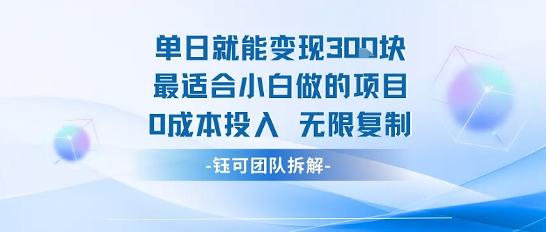单日就能变现3张最适合小白做的项目0成本投入 无限复制-千城资源网